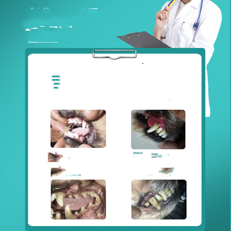 NEW 2024-2025 Pet Stone Tartar Cat Dog Finger Cover