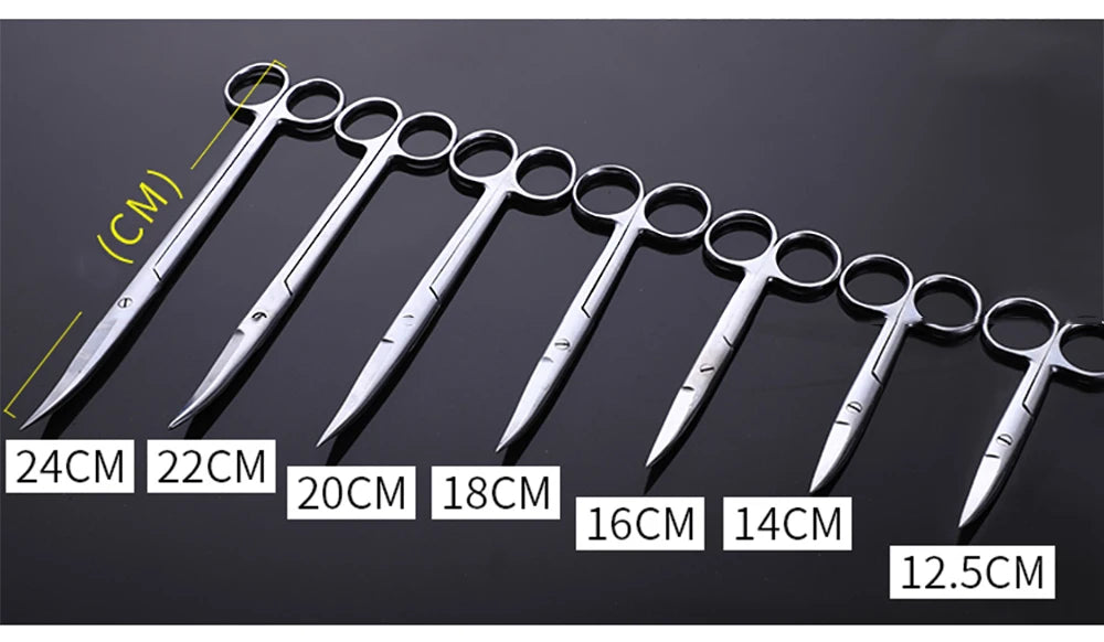 1PCS 10cm 12.5cm 14cm 16cm Straight Curved Scissor Scissors Stainless Steel Equipment Farming Instrument Clinic
