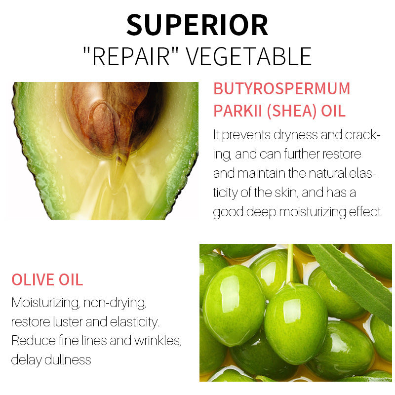 Essential Oil Mild Moisturizing And Nourishing Lip Medically recommended fixed all dry lips issues