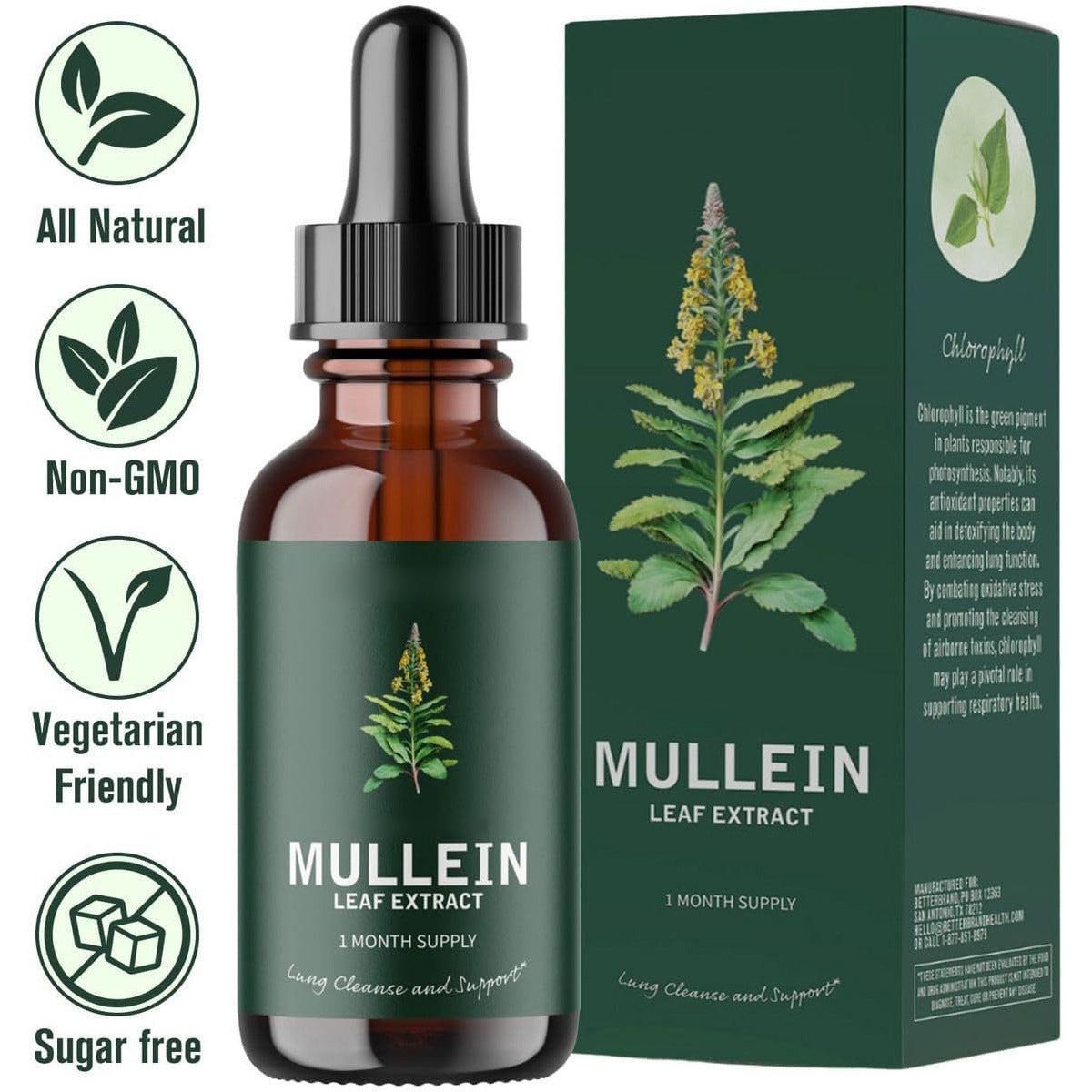Verbascum Thapsus Leaf Extract Drops- Medically Advise