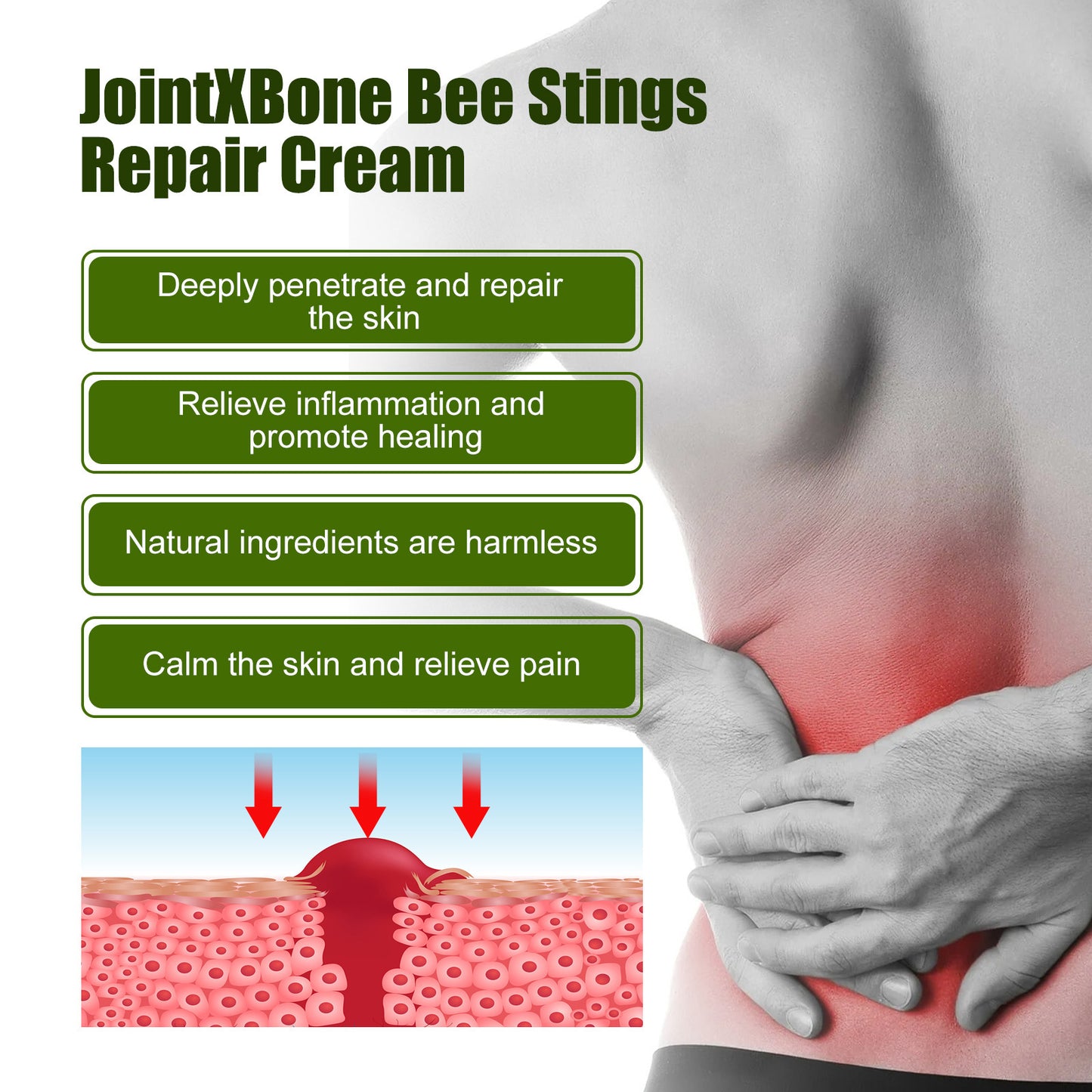 Brand New 2024-2025 Relieve Neck Muscle And Bone Soreness Care Cream from natural Ingredients