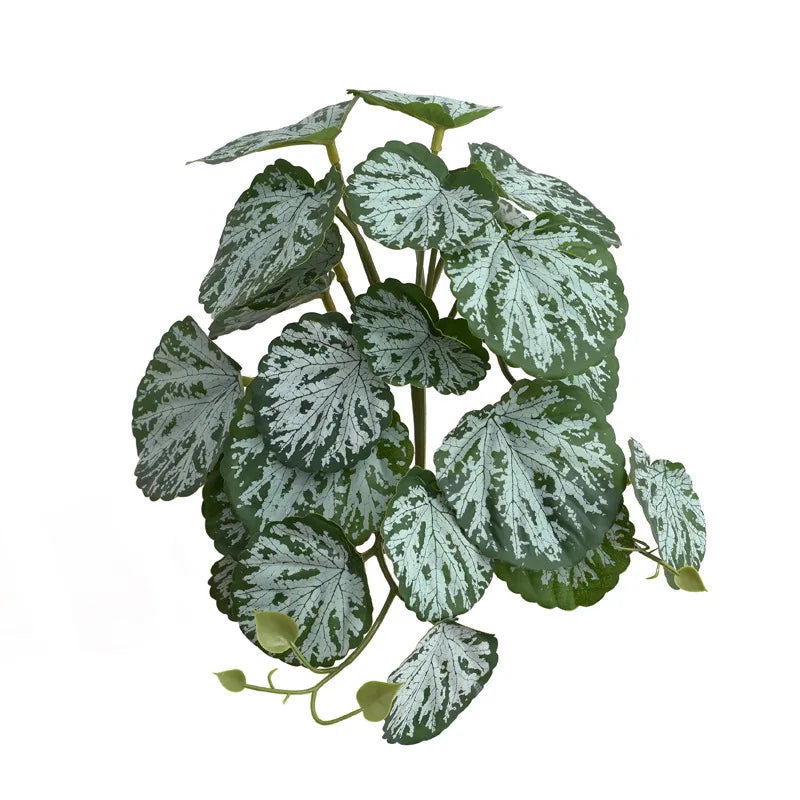 variants8