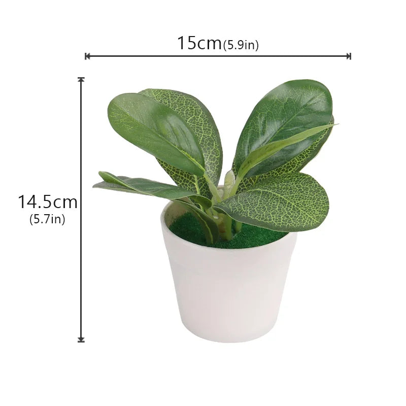 image5