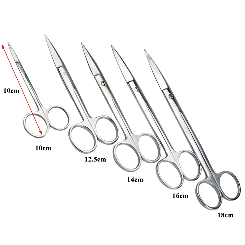 1PCS 10cm 12.5cm 14cm 16cm Straight Curved Scissor Scissors Stainless Steel Equipment Farming Instrument Clinic