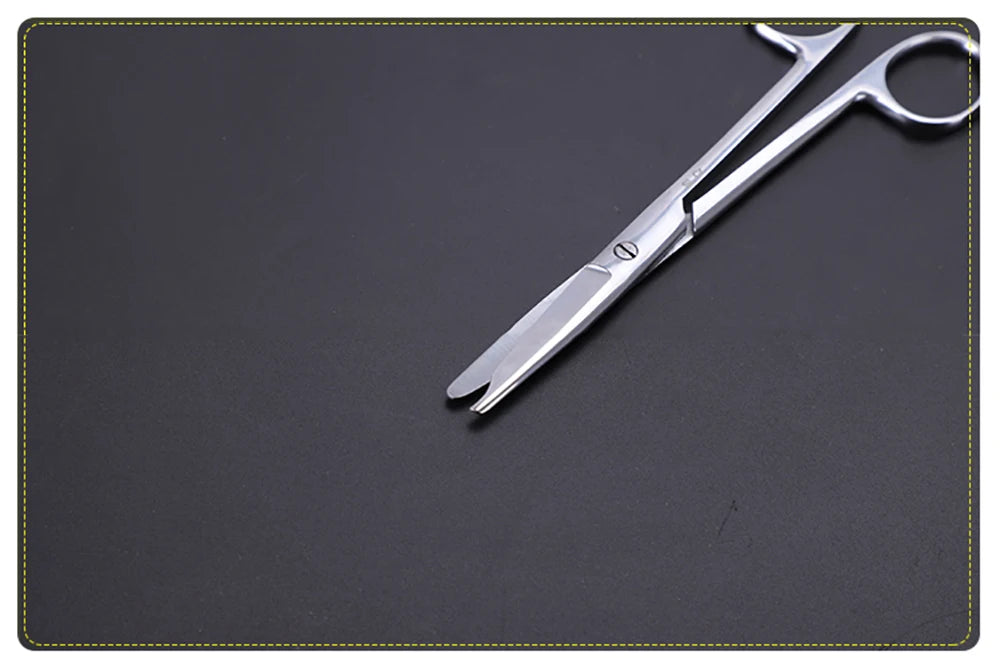 1PCS 10cm 12.5cm 14cm 16cm Straight Curved Scissor Scissors Stainless Steel Equipment Farming Instrument Clinic
