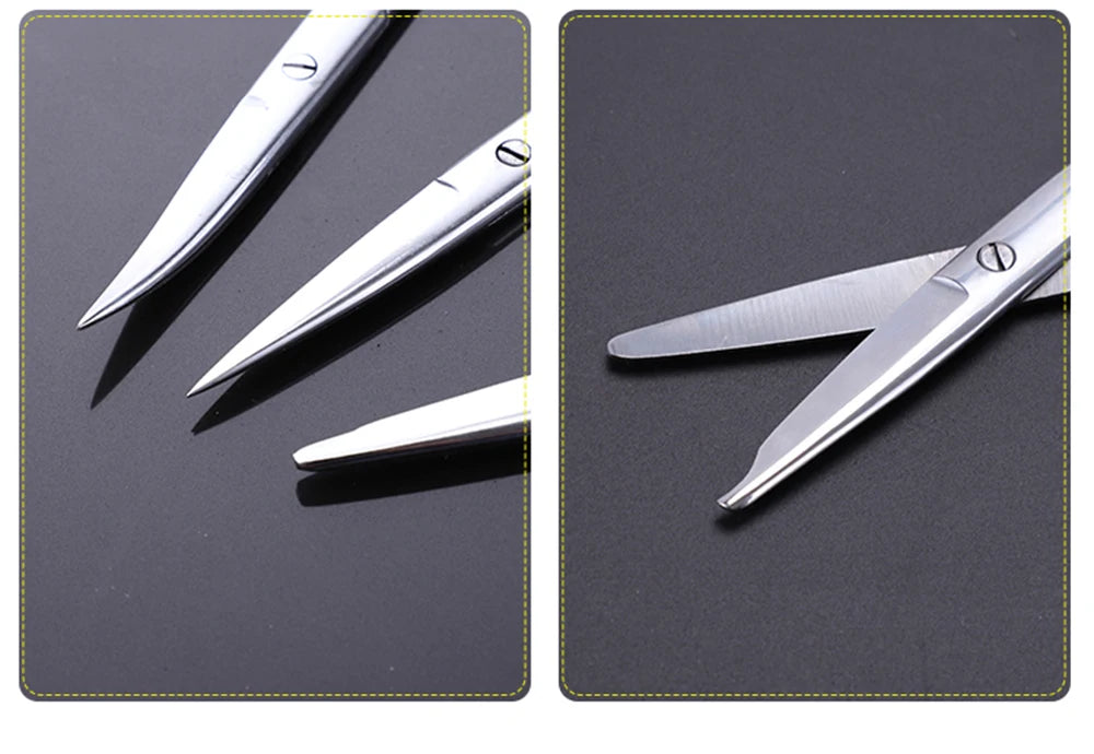 1PCS 10cm 12.5cm 14cm 16cm Straight Curved Scissor Scissors Stainless Steel Equipment Farming Instrument Clinic