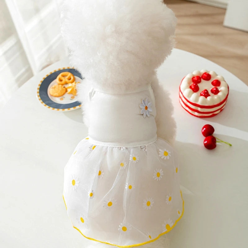 48346154598742|48346154631510|48346154664278|48346154697046|48346154795350|48346154860886