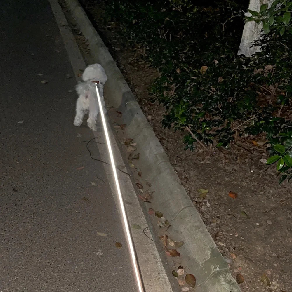 3in1 Double Head Dog Leash Flashlight Poop Bag Dispenser Dual Reflective Pet Cat Leash Automatic Extendable Puppy Traction Rope