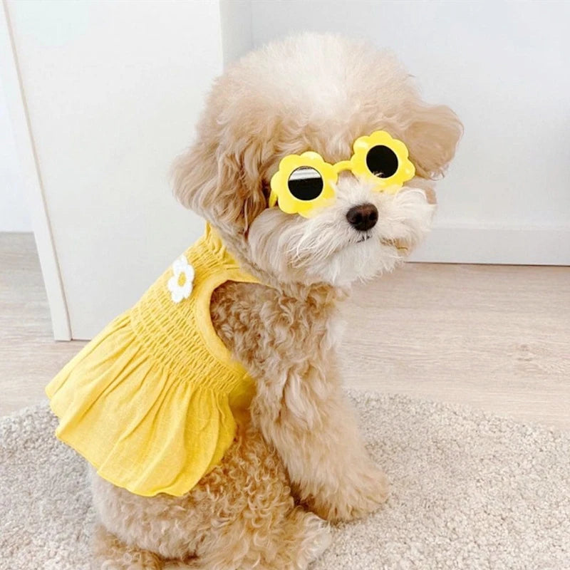 48346153222486|48346153255254|48346153320790|48346153353558|48346153419094|48346153451862