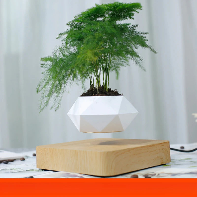 Furniture ornaments DIY flower pots suspended aerial potted plants