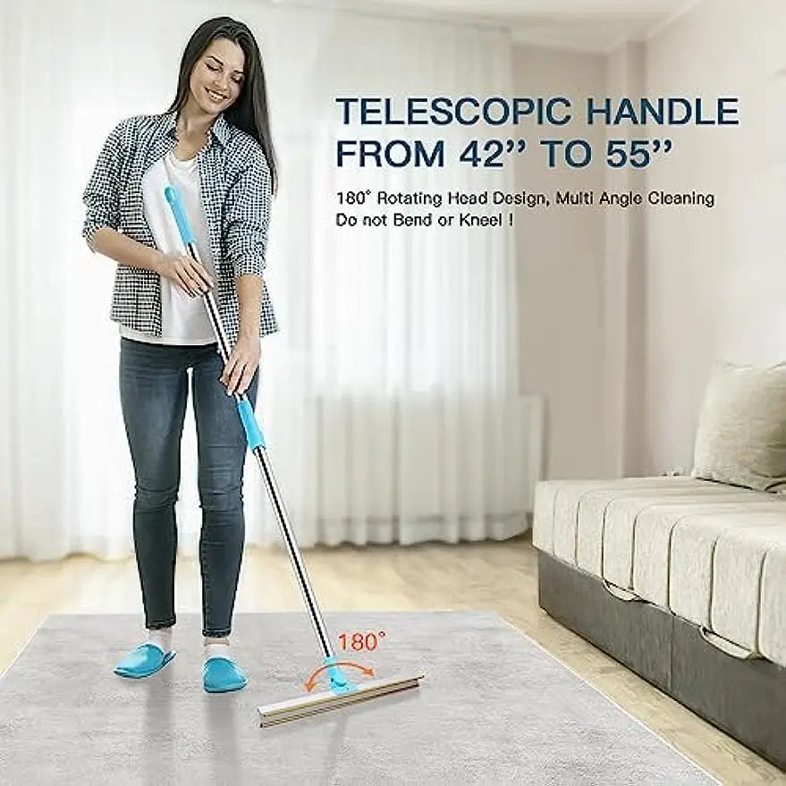 Free Shipping NEW 2024 Carpet Rake Pet Hair Remover Set Pet Hair Removal Tool Telescopic Handle Rug Rake for Dog Cat Hair 180° Rotation Carpet Shave