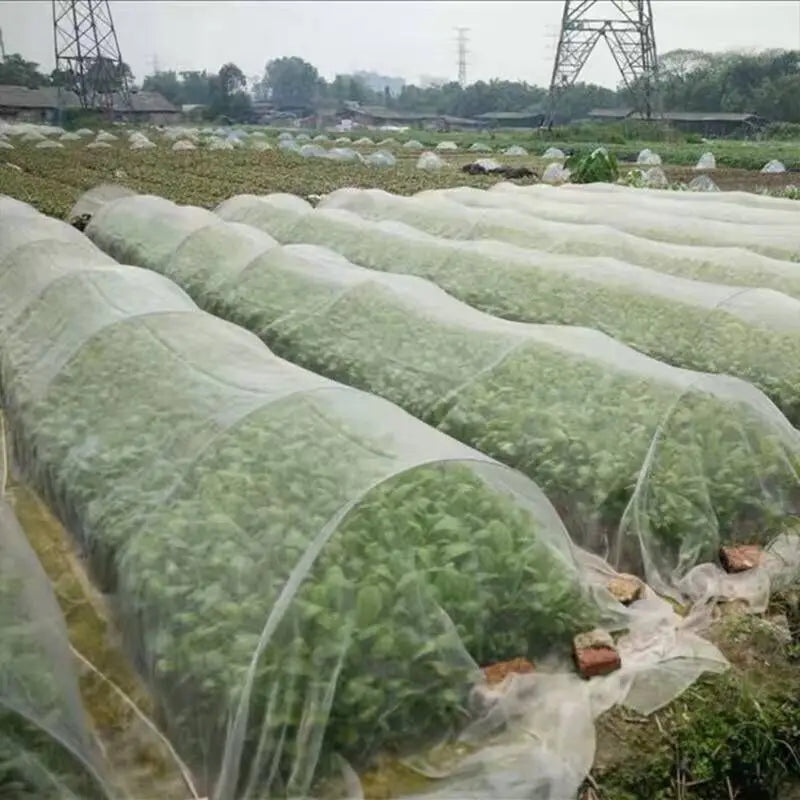 BRAND NEW 2024 FLEECE Plant Insect Nets Garden Fruit Vegetables Care Cover Greenhouse Protective Net Anti-Bird Mesh Net Pest Control Garden Netting